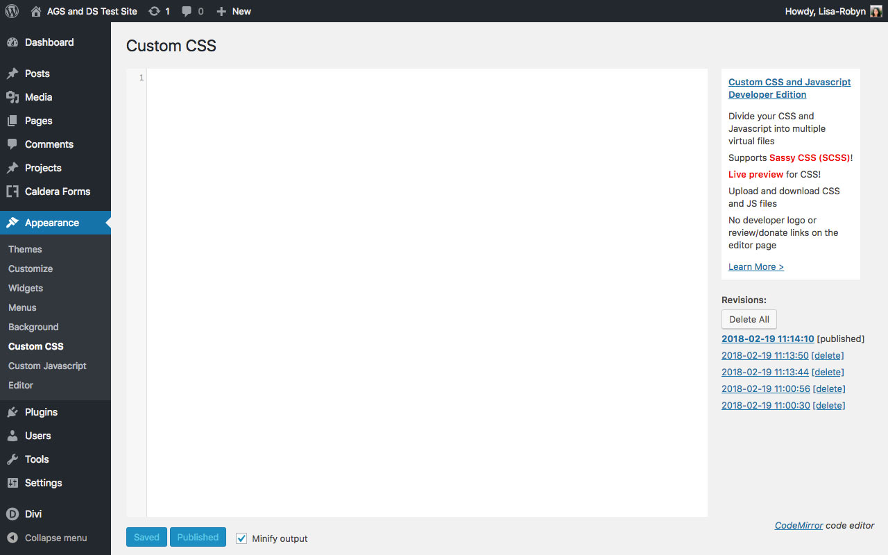 Custom CSS Editor of Custom CSS and JavaScript Plugin by Potent Plugins