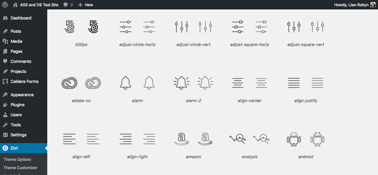 Divi Icon Expansion Pack Icons