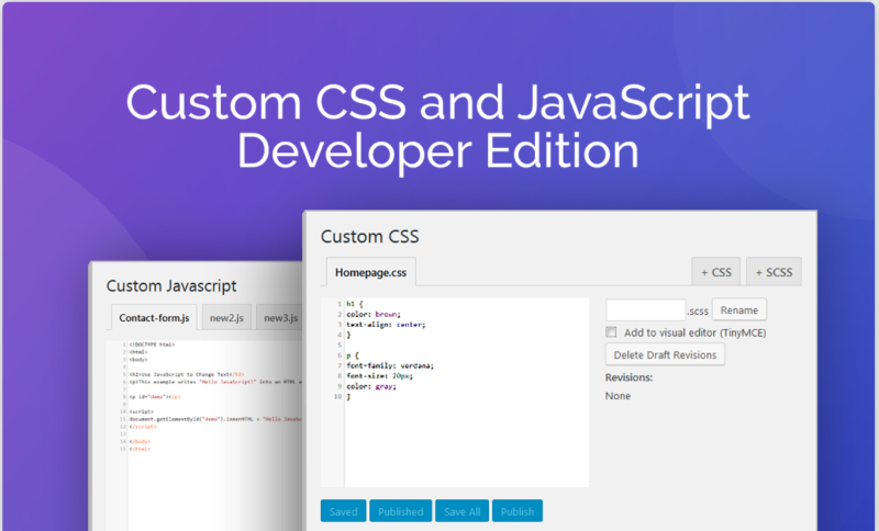 Custom CSS and JavaScript Developer Edition plugin