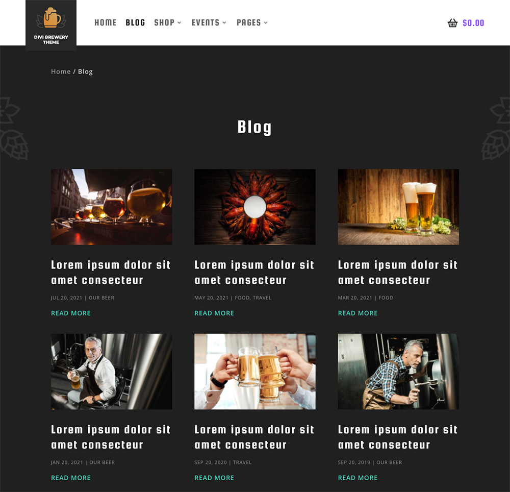Divi Space Divi Brewery Child Theme Blog Page