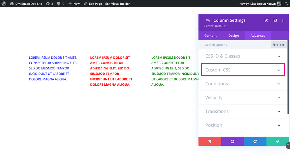 Divi theme Custom CSS