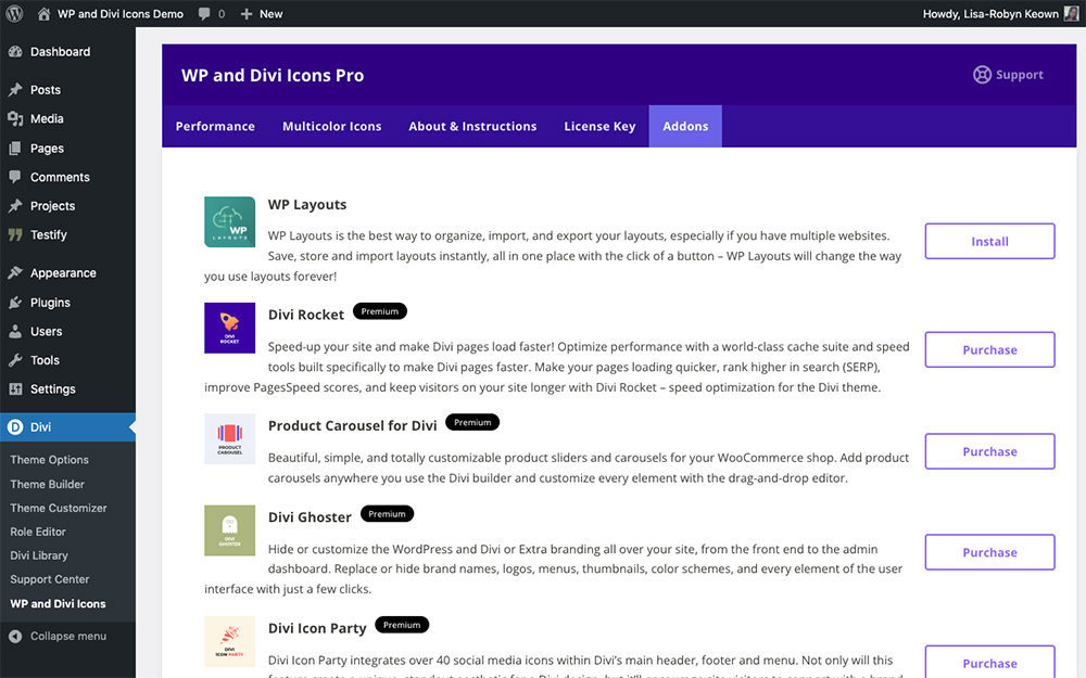 WP and Divi Icons Pro plugin addons tab